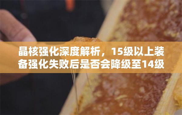 晶核強化深度解析，15級以上裝備強化失敗后是否會降級至14級真相揭秘