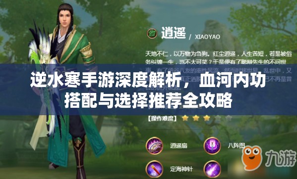 逆水寒手游深度解析，血河內(nèi)功搭配與選擇推薦全攻略