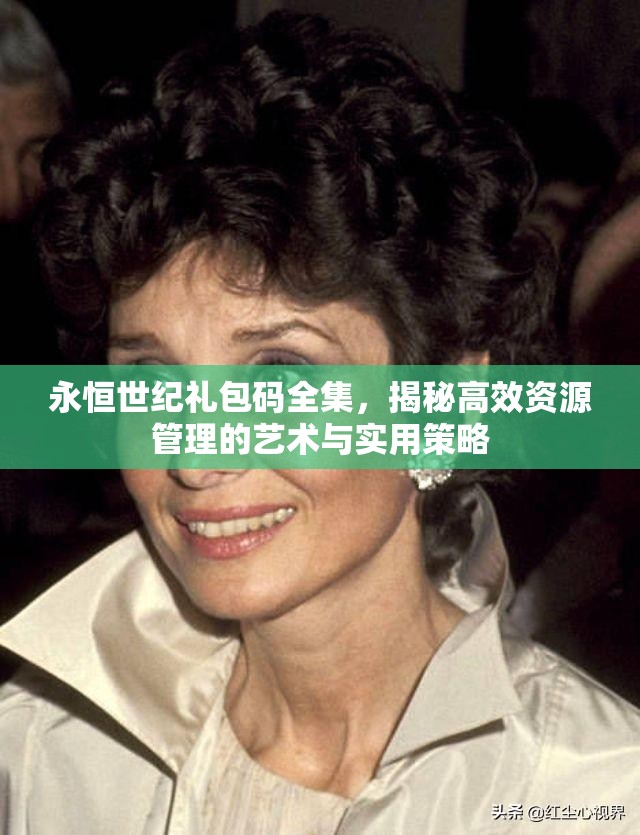 永恒世紀(jì)禮包碼全集，揭秘高效資源管理的藝術(shù)與實用策略