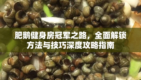 肥鵝健身房冠軍之路，全面解鎖方法與技巧深度攻略指南