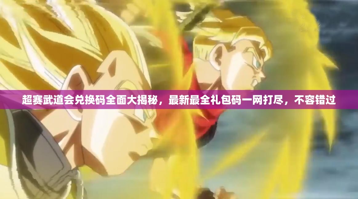 超賽武道會兌換碼全面大揭秘，最新最全禮包碼一網(wǎng)打盡，不容錯過