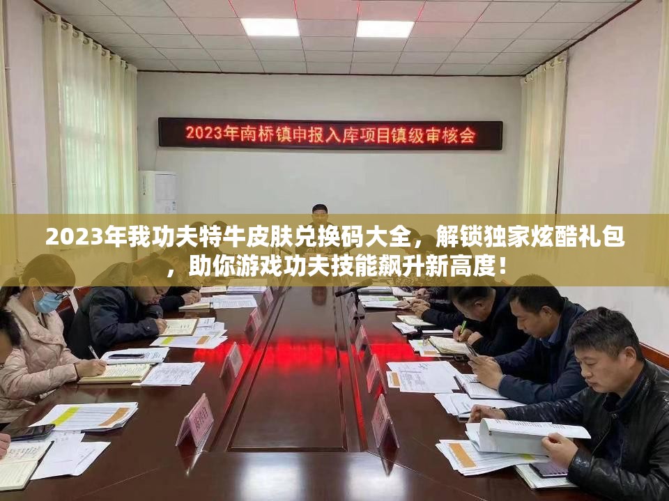 2023年我功夫特牛皮膚兌換碼大全，解鎖獨(dú)家炫酷禮包，助你游戲功夫技能飆升新高度！