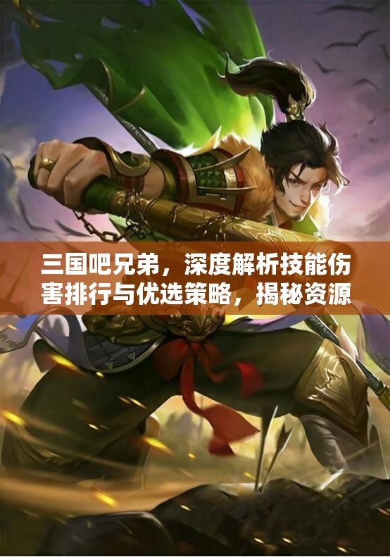 三國吧兄弟，深度解析技能傷害排行與優(yōu)選策略，揭秘資源管理的高效藝術(shù)