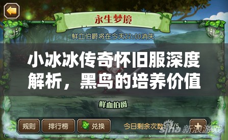 小冰冰傳奇懷舊服深度解析，黑鳥的培養(yǎng)價(jià)值與最佳陣容搭配策略