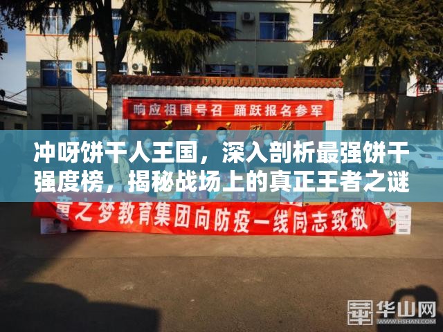 沖呀餅干人王國(guó)，深入剖析最強(qiáng)餅干強(qiáng)度榜，揭秘戰(zhàn)場(chǎng)上的真正王者之謎