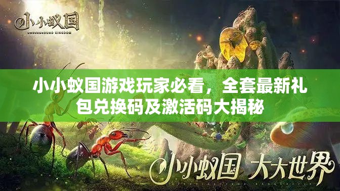 小小蟻國(guó)游戲玩家必看，全套最新禮包兌換碼及激活碼大揭秘
