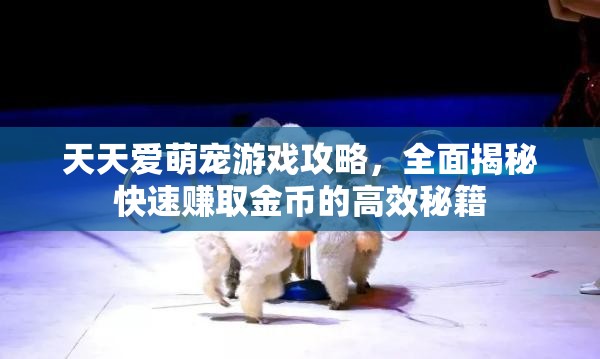 天天愛(ài)萌寵游戲攻略，全面揭秘快速賺取金幣的高效秘籍