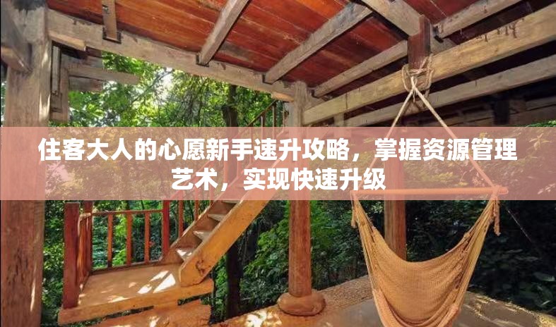 住客大人的心愿新手速升攻略，掌握資源管理藝術(shù)，實(shí)現(xiàn)快速升級(jí)