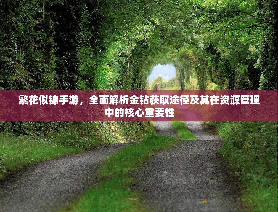 繁花似錦手游，全面解析金鉆獲取途徑及其在資源管理中的核心重要性