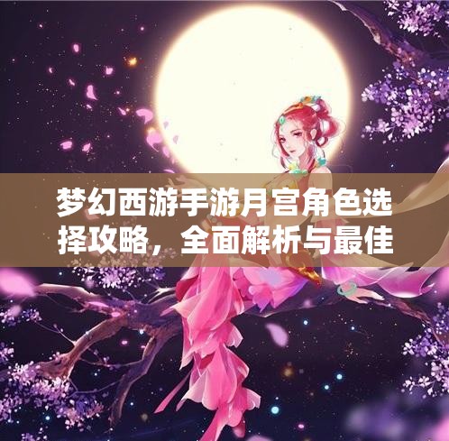 夢幻西游手游月宮角色選擇攻略，全面解析與最佳角色推薦大揭秘