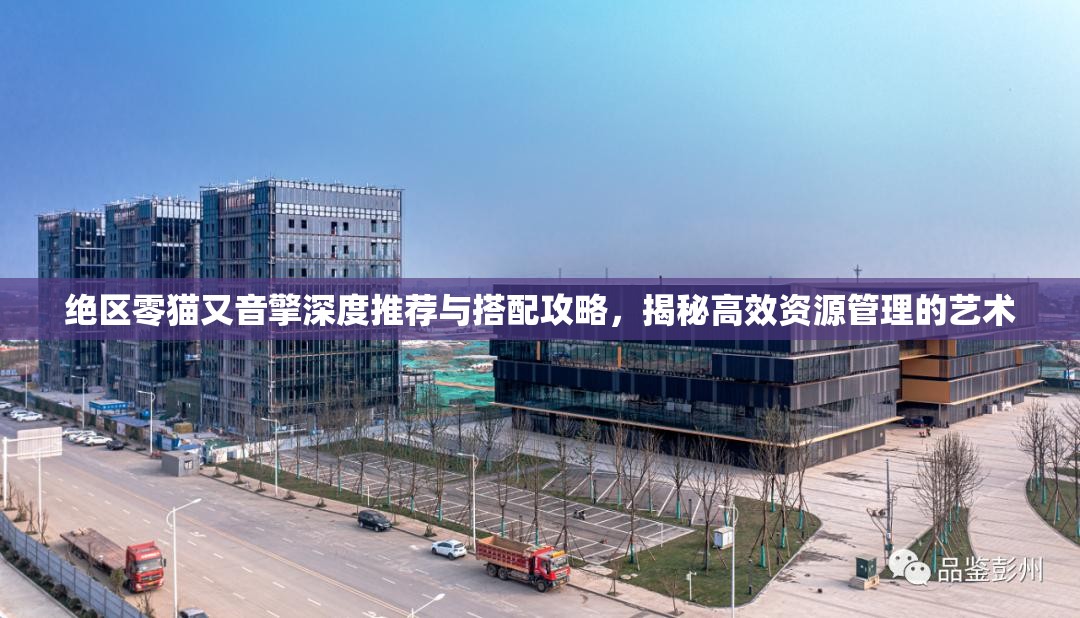 絕區(qū)零貓又音擎深度推薦與搭配攻略，揭秘高效資源管理的藝術(shù)