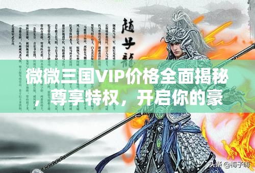 微微三國VIP價格全面揭秘，尊享特權(quán)，開啟你的豪華三國游戲之旅