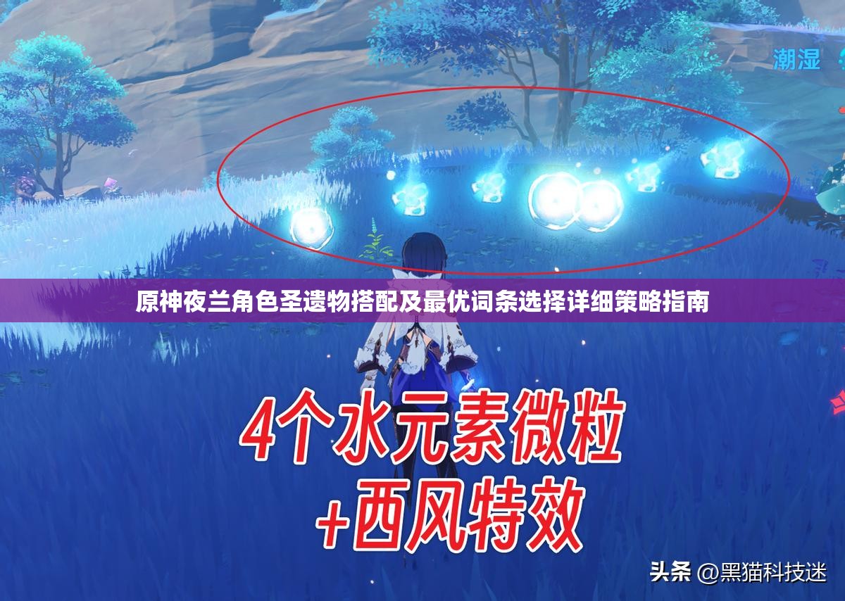 原神夜蘭角色圣遺物搭配及最優(yōu)詞條選擇詳細策略指南