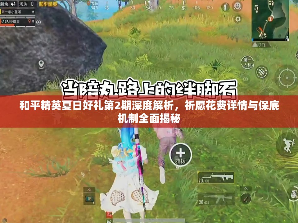 和平精英夏日好禮第2期深度解析，祈愿花費(fèi)詳情與保底機(jī)制全面揭秘