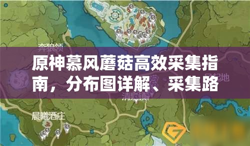 原神慕風(fēng)蘑菇高效采集指南，分布圖詳解、采集路線規(guī)劃及商人位置一網(wǎng)打盡