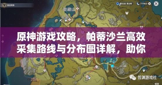 原神游戲攻略，帕蒂沙蘭高效采集路線與分布圖詳解，助你優(yōu)化資源管理策略