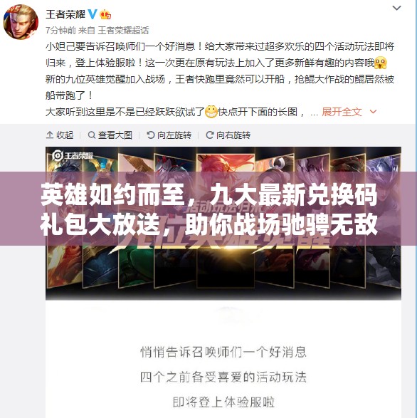 英雄如約而至，九大最新兌換碼禮包大放送，助你戰(zhàn)場馳騁無敵手！