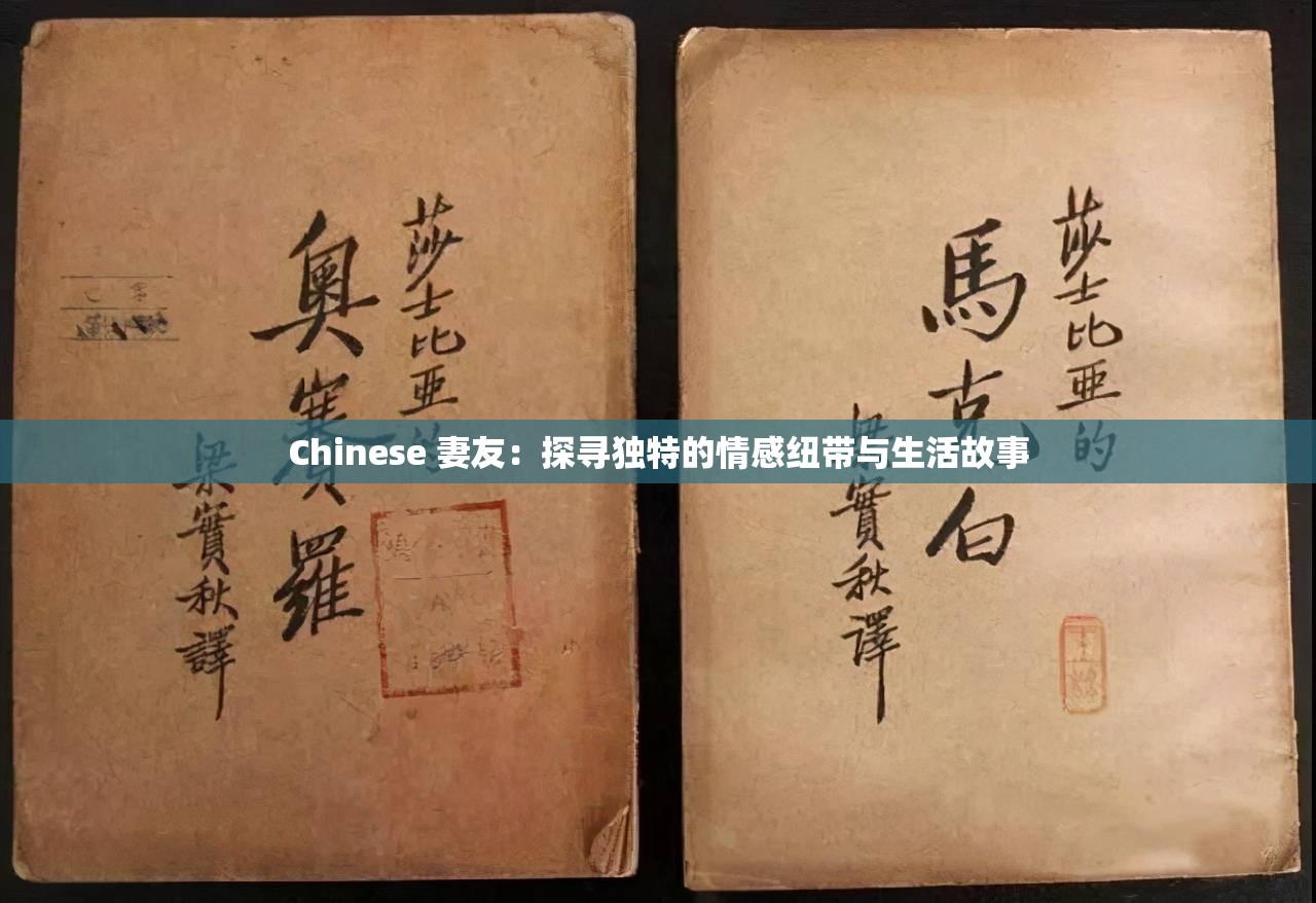 Chinese 妻友：探尋獨(dú)特的情感紐帶與生活故事
