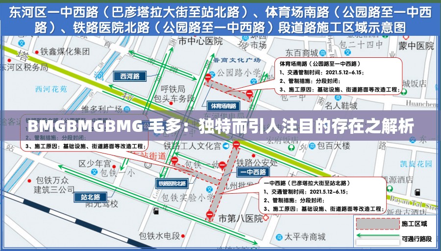 BMGBMGBMG 毛多：獨(dú)特而引人注目的存在之解析