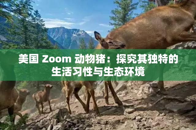 美國 Zoom 動物豬：探究其獨特的生活習(xí)性與生態(tài)環(huán)境