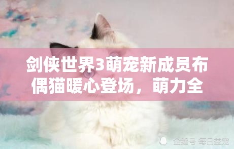 劍俠世界3萌寵新成員布偶貓暖心登場，萌力全開陪伴玩家闖蕩江湖