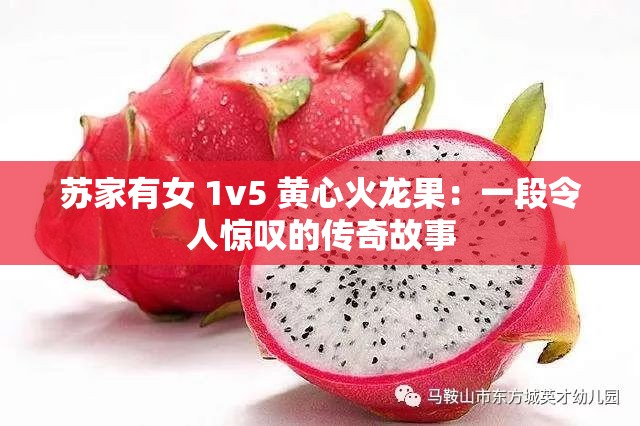 蘇家有女 1v5 黃心火龍果：一段令人驚嘆的傳奇故事