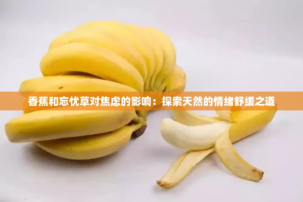 香蕉和忘憂草對(duì)焦慮的影響：探索天然的情緒舒緩之道