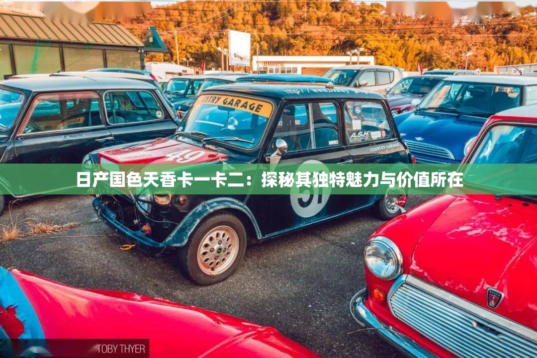 日產(chǎn)國(guó)色天香卡一卡二：探秘其獨(dú)特魅力與價(jià)值所在