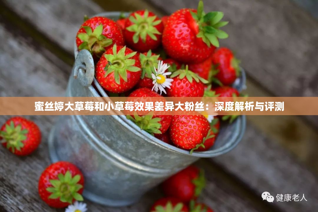 蜜絲婷大草莓和小草莓效果差異大粉絲：深度解析與評(píng)測(cè)