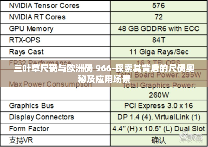 三葉草尺碼與歐洲碼 966-探索其背后的尺碼奧秘及應用場景