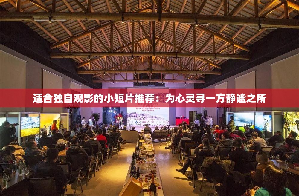 適合獨自觀影的小短片推薦：為心靈尋一方靜謐之所