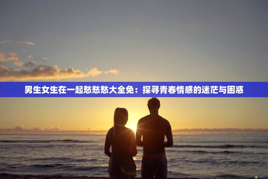 男生女生在一起愁愁愁大全免：探尋青春情感的迷茫與困惑