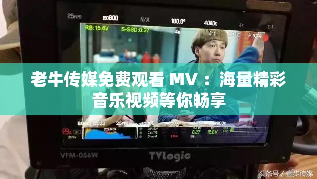 老牛傳媒免費(fèi)觀看 MV ：海量精彩音樂視頻等你暢享