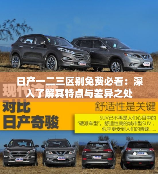 日產(chǎn)一二三區(qū)別免費(fèi)必看：深入了解其特點(diǎn)與差異之處