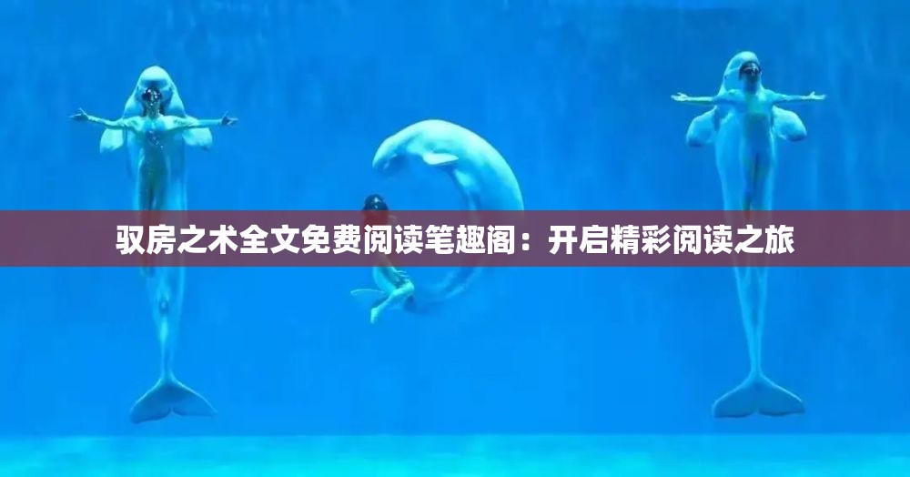 馭房之術全文免費閱讀筆趣閣：開啟精彩閱讀之旅