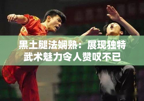 黑土腿法嫻熟：展現(xiàn)獨特武術魅力令人贊嘆不已