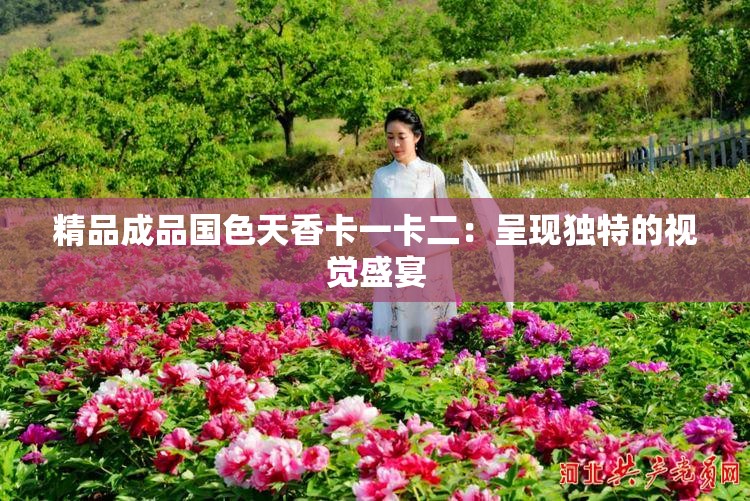 精品成品國色天香卡一卡二：呈現(xiàn)獨(dú)特的視覺盛宴