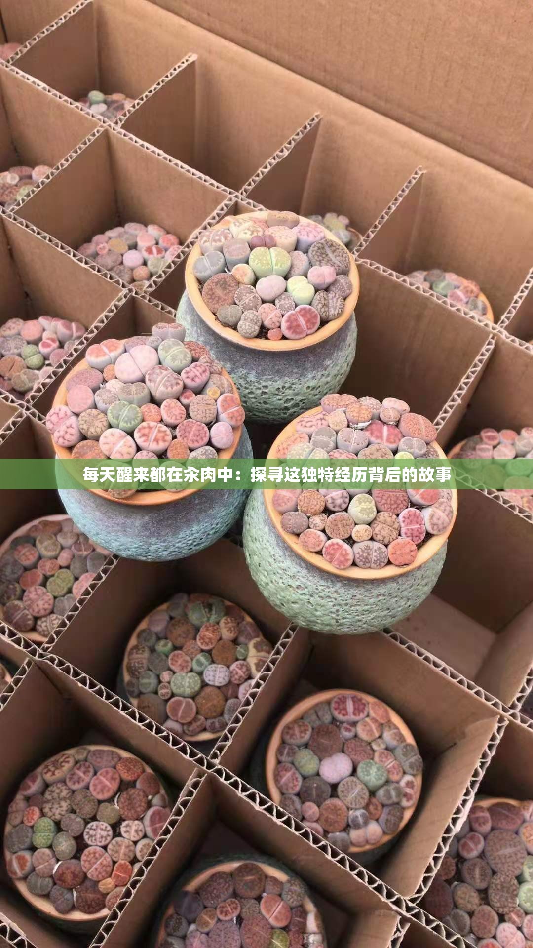 每天醒來(lái)都在汆肉中：探尋這獨(dú)特經(jīng)歷背后的故事