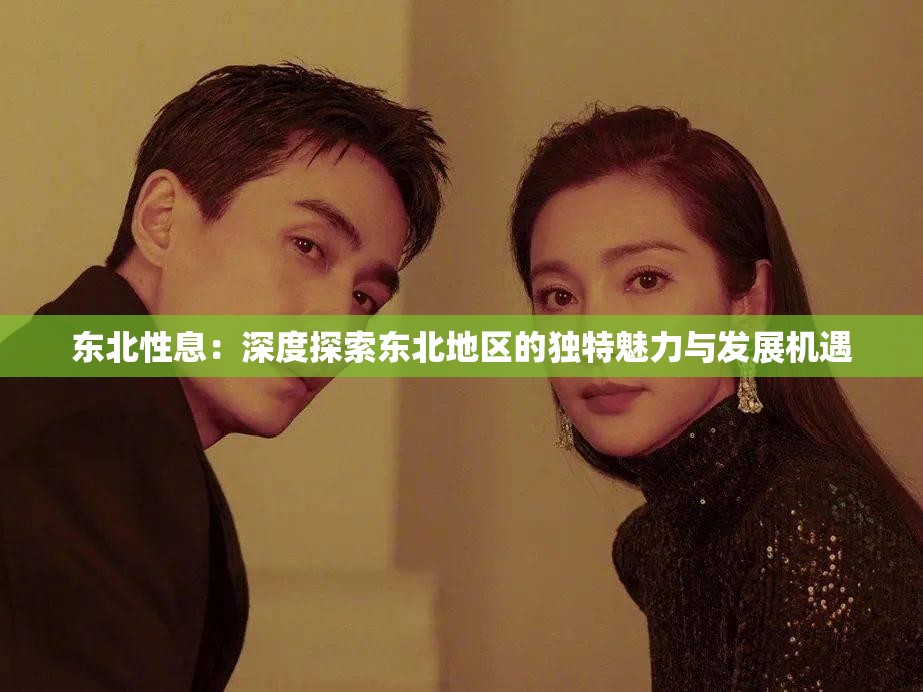 東北性息：深度探索東北地區(qū)的獨(dú)特魅力與發(fā)展機(jī)遇