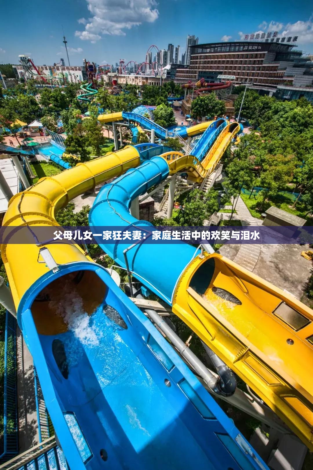 父母兒女一家狂夫妻：家庭生活中的歡笑與淚水