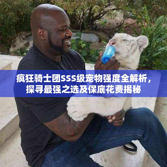 瘋狂騎士團(tuán)SSS級(jí)寵物強(qiáng)度全解析，探尋最強(qiáng)之選及保底花費(fèi)揭秘