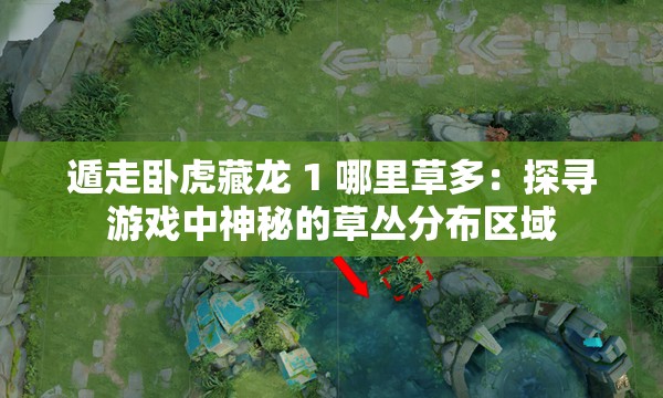 遁走臥虎藏龍 1 哪里草多：探尋游戲中神秘的草叢分布區(qū)域