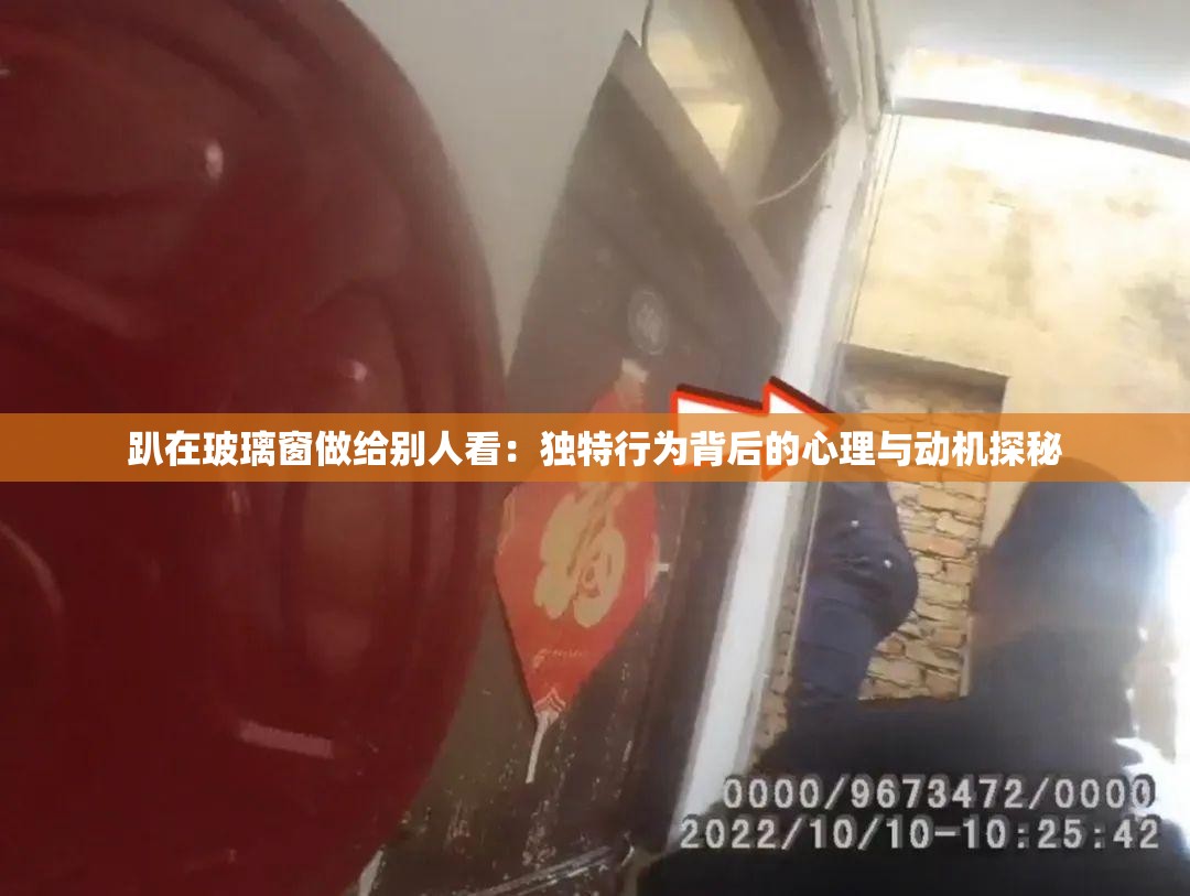 趴在玻璃窗做給別人看：獨特行為背后的心理與動機探秘