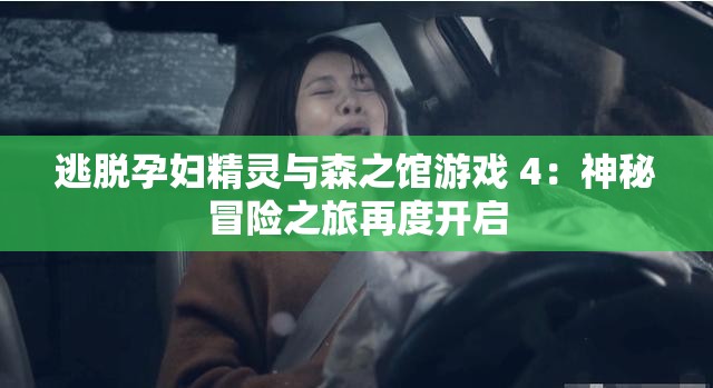 逃脫孕婦精靈與森之館游戲 4：神秘冒險(xiǎn)之旅再度開啟