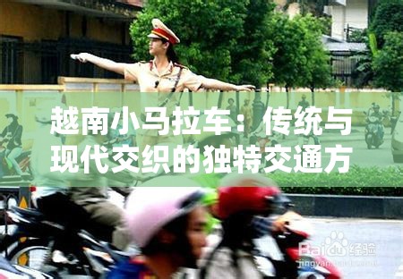 越南小馬拉車：傳統(tǒng)與現(xiàn)代交織的獨特交通方式，探索其稀缺文化價值與未來發(fā)展