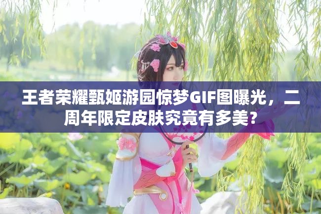 王者榮耀甄姬游園驚夢GIF圖曝光，二周年限定皮膚究竟有多美？