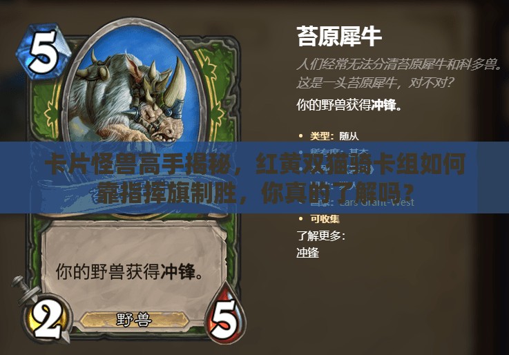 卡片怪獸高手揭秘，紅黃雙貓騎卡組如何靠指揮旗制勝，你真的了解嗎？