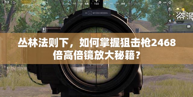 叢林法則下，如何掌握狙擊槍2468倍高倍鏡放大秘籍？
