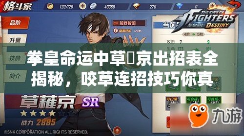 拳皇命運中草薙京出招表全揭秘，咬草連招技巧你真的掌握了嗎？