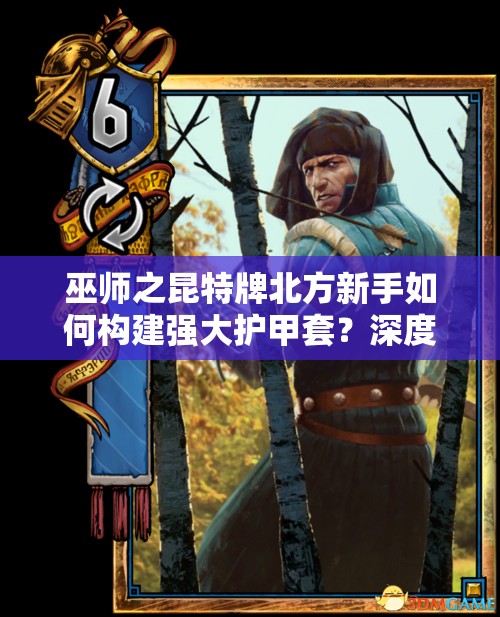 巫師之昆特牌北方新手如何構(gòu)建強(qiáng)大護(hù)甲套？深度解析來揭秘！